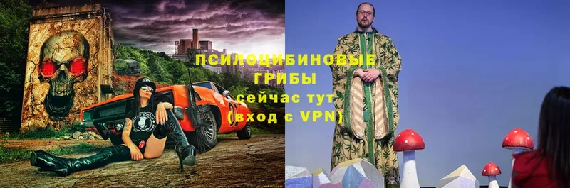 Купить наркотик Жуковка ГАШ  Псилоцибиновые грибы  КОКАИН  Alpha PVP  Меф мяу мяу  Марихуана 